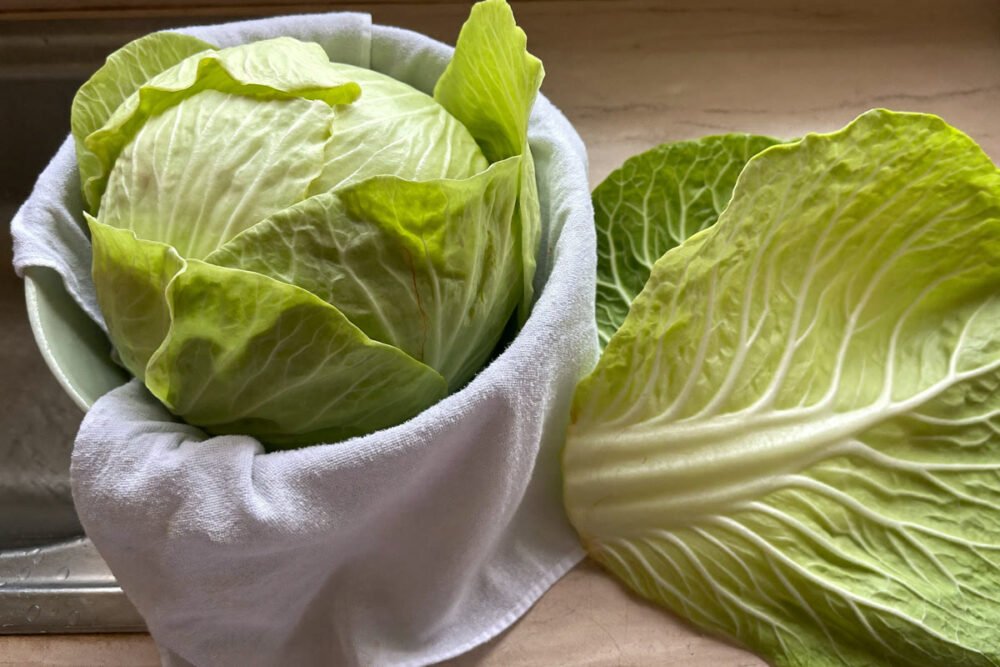 Whole round head of green cabbage resting in a cloth-lined basin on a kitchen counter, with two detached cupped cabbage leaves lying beside it.